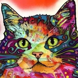 Meet your Posher, Ann